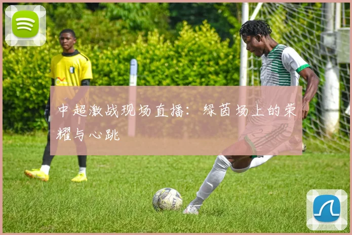 中超激战现场直播：绿茵场上的荣耀与心跳