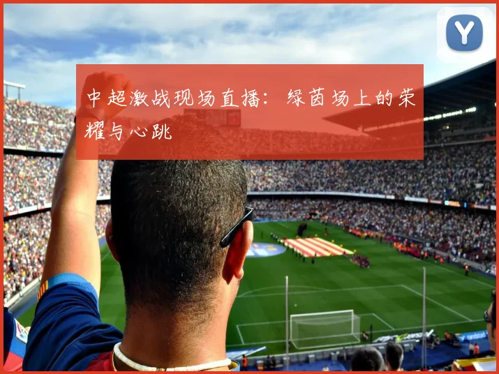 中超激战现场直播：绿茵场上的荣耀与心跳
